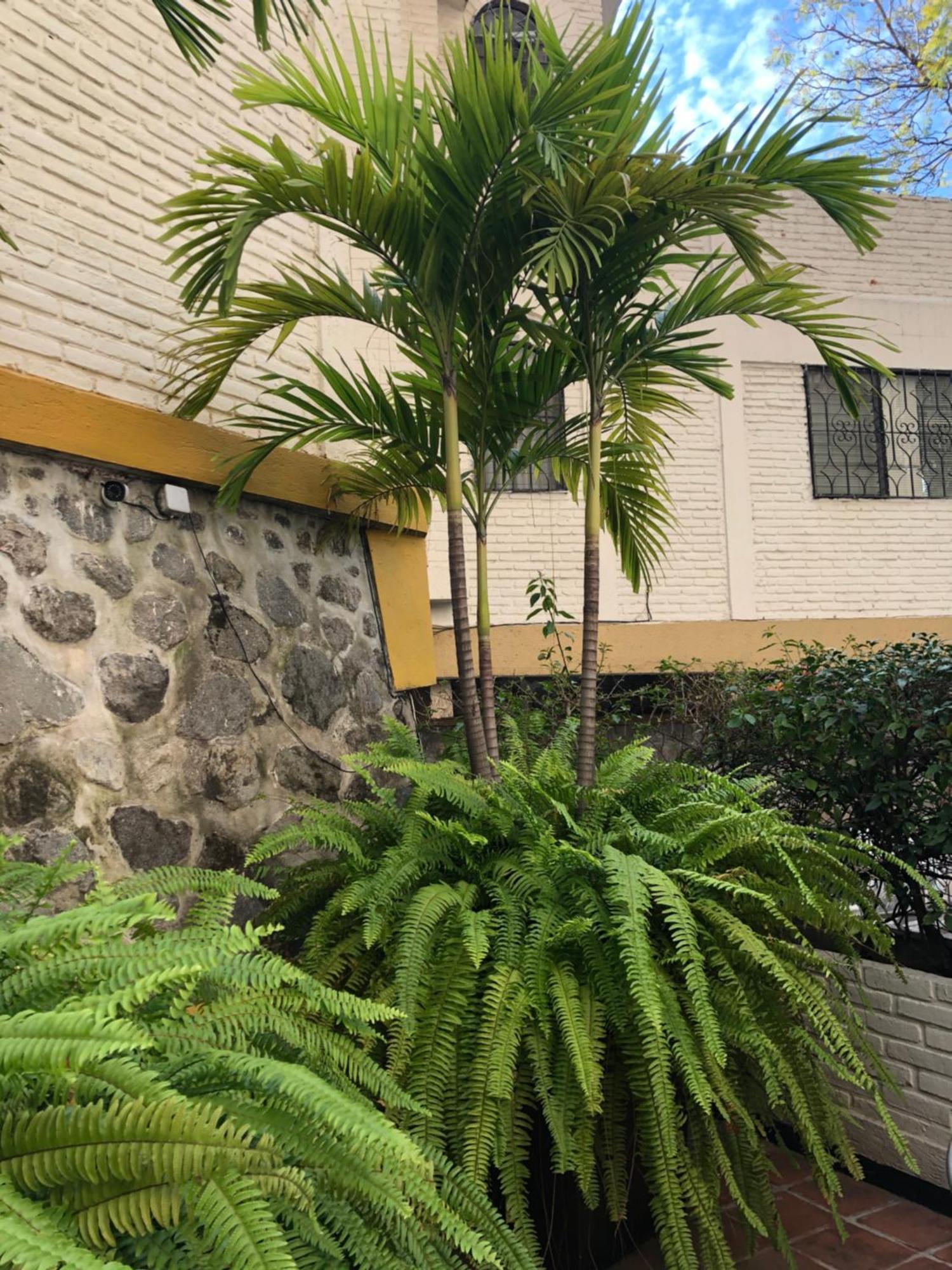 Hotel Ilebal Cuernavaca Centro - Lugar Con Encanto! Eksteriør bilde