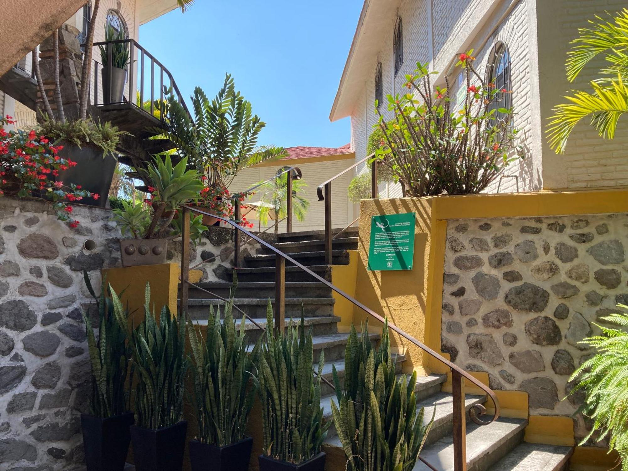 Hotel Ilebal Cuernavaca Centro - Lugar Con Encanto! Eksteriør bilde