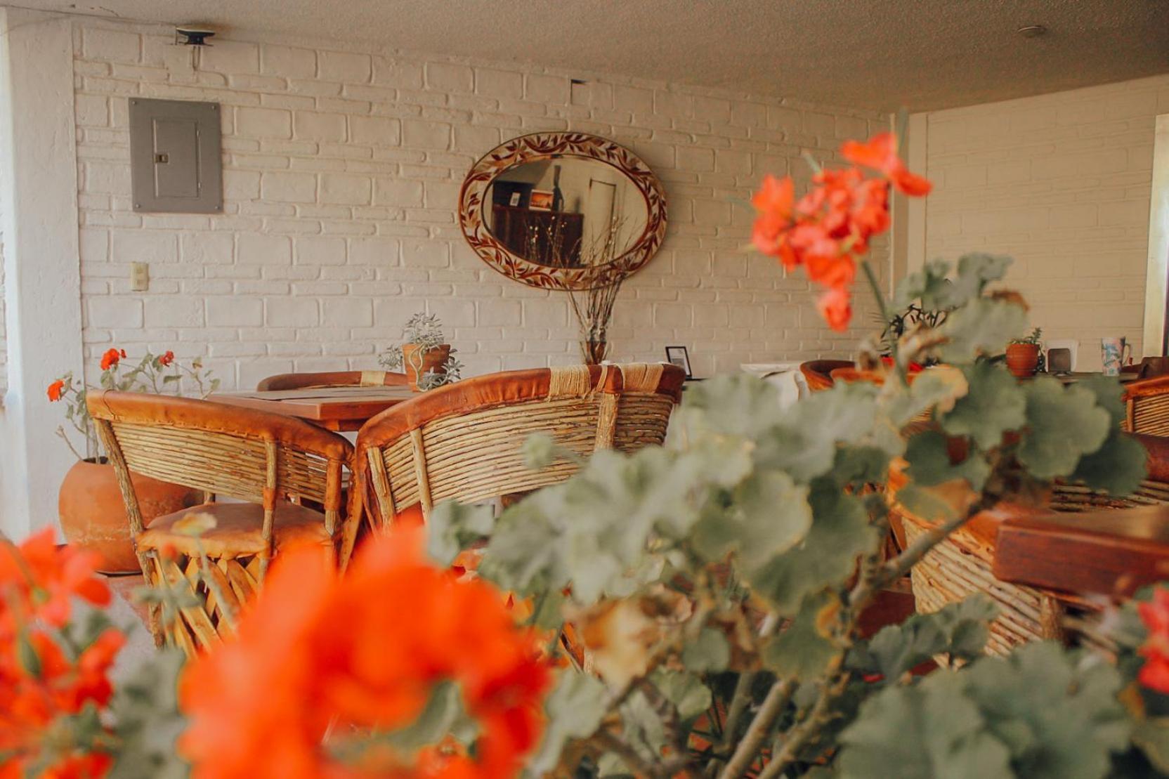 Hotel Ilebal Cuernavaca Centro - Lugar Con Encanto! Eksteriør bilde