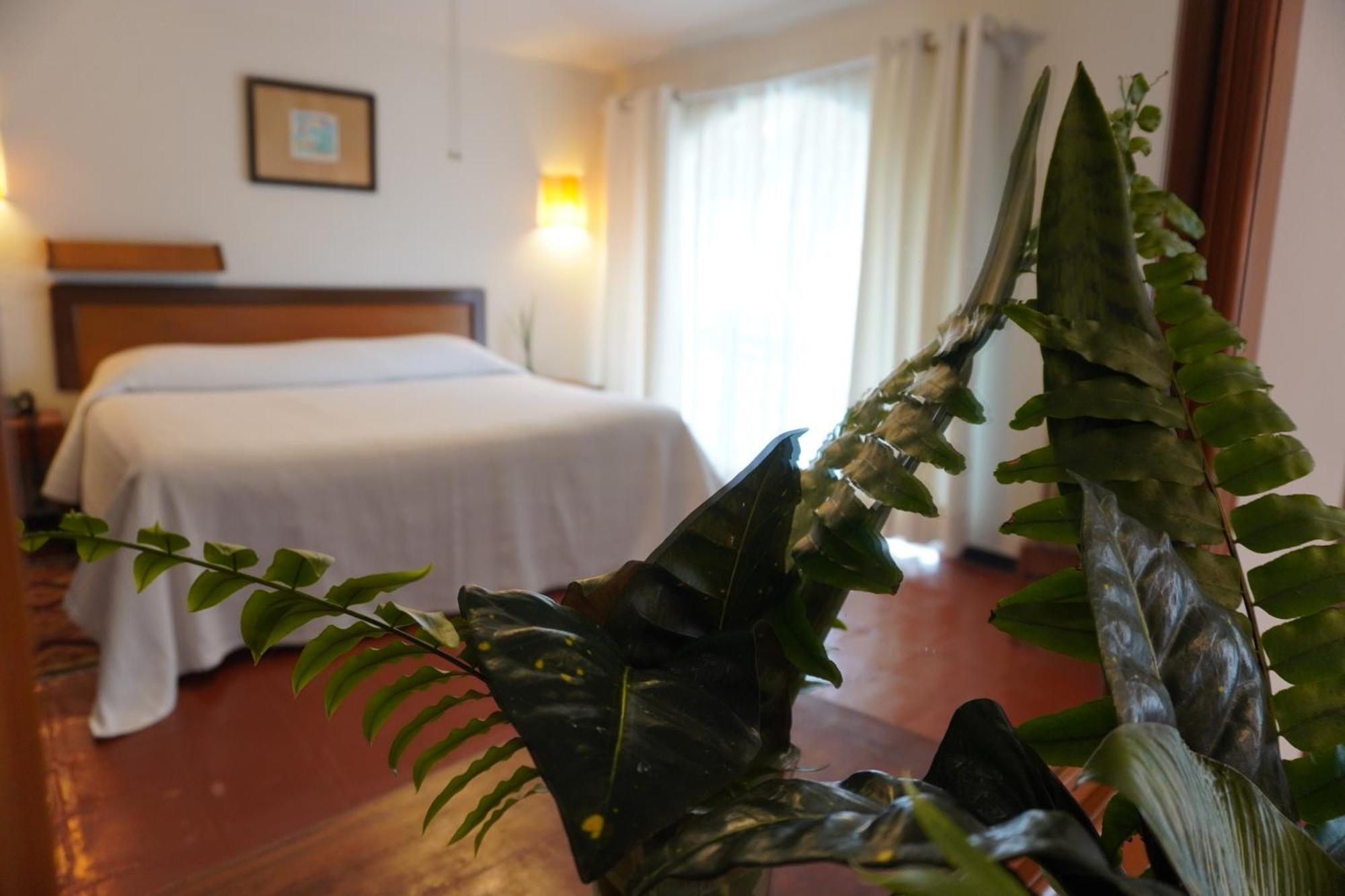 Hotel Ilebal Cuernavaca Centro - Lugar Con Encanto! Eksteriør bilde