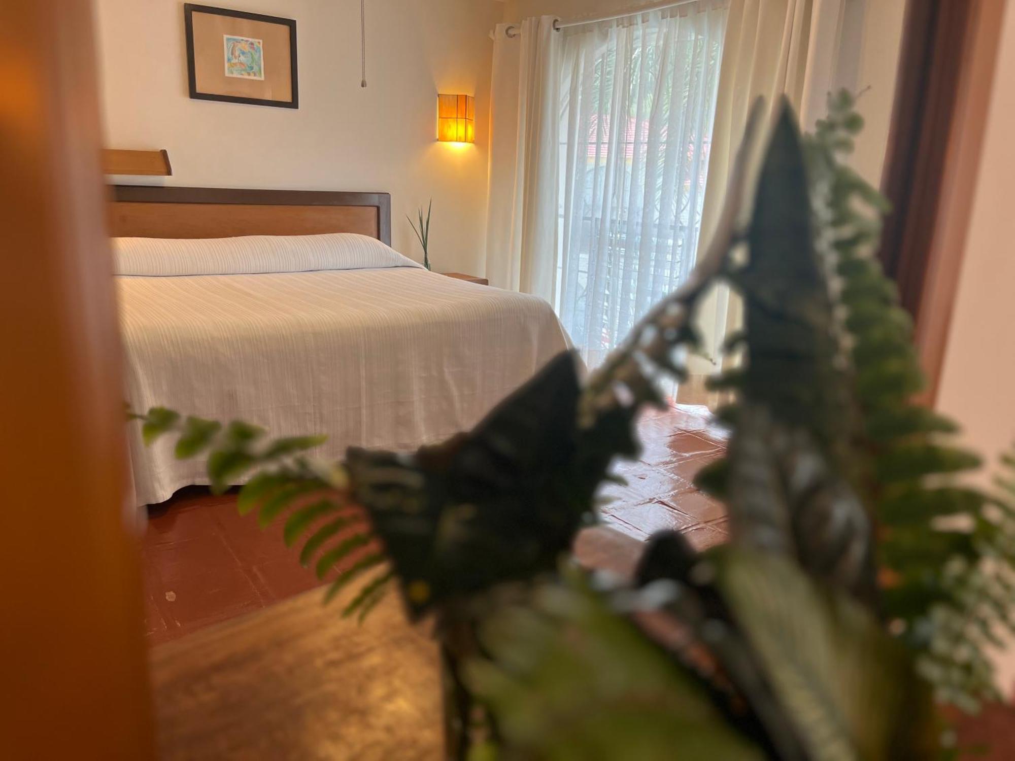 Hotel Ilebal Cuernavaca Centro - Lugar Con Encanto! Eksteriør bilde