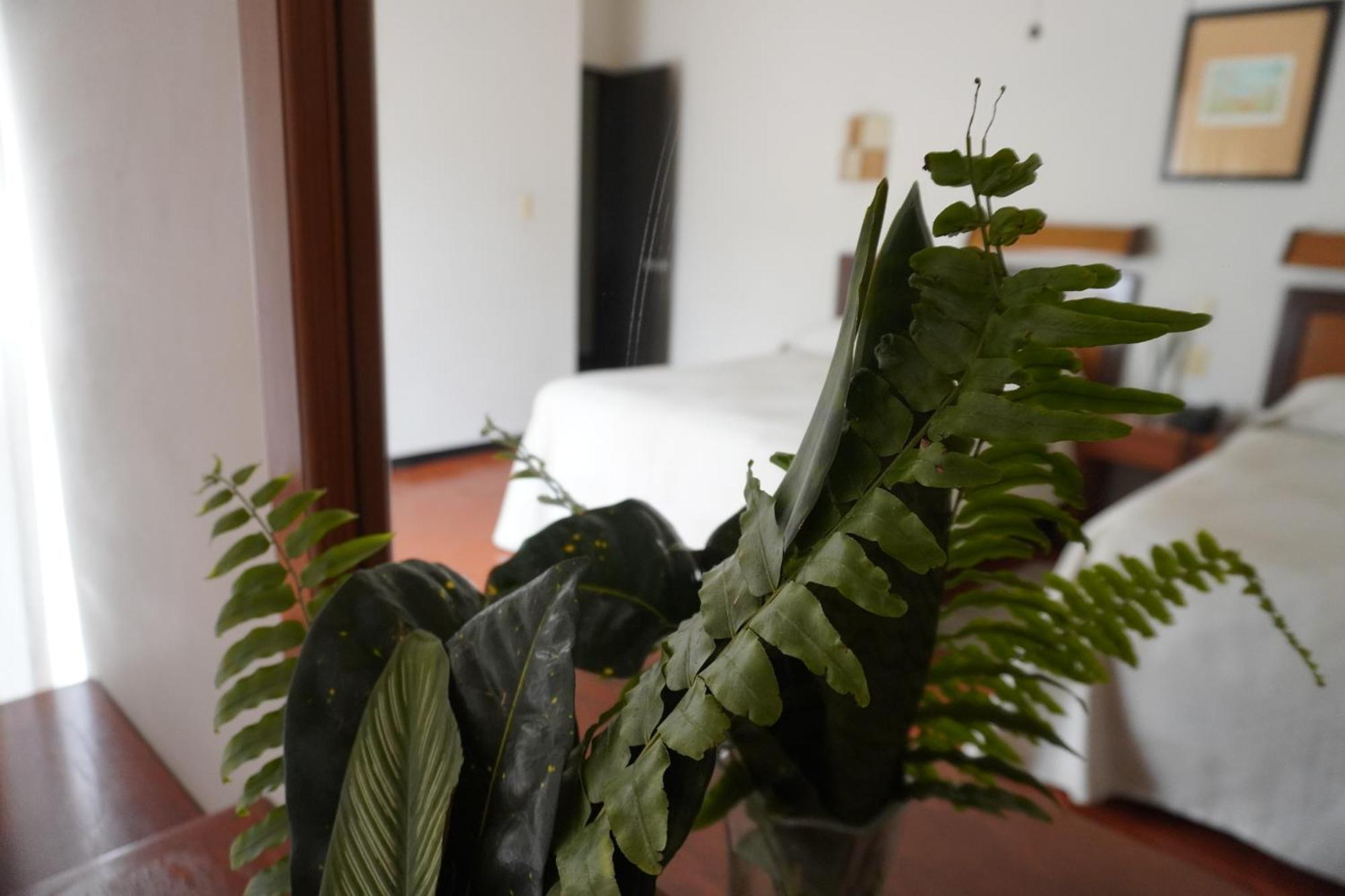 Hotel Ilebal Cuernavaca Centro - Lugar Con Encanto! Eksteriør bilde