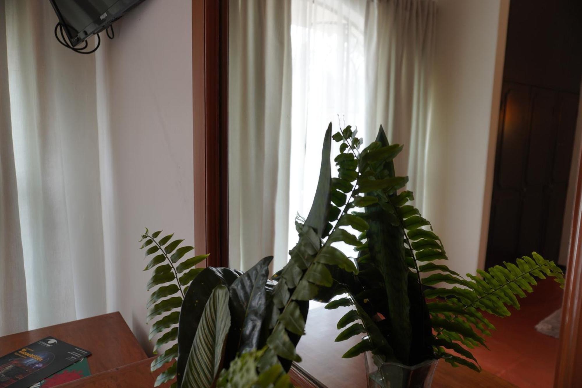Hotel Ilebal Cuernavaca Centro - Lugar Con Encanto! Eksteriør bilde